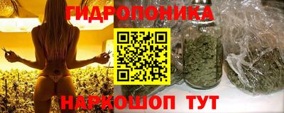 прущие грибы Изобильный